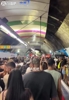 夏奇拉粉丝杀疯了！巴西民众在地铁站集体辱骂皮克：去死吧！
