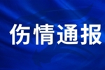 王毅右膝外侧副韧带损伤，陈哲超腓骨肌腱、外踝韧带损伤