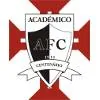 阿卡迪米克
