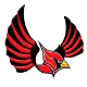玛布亚红雀 U19