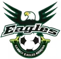 坎博伊老鹰