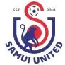 苏梅联队